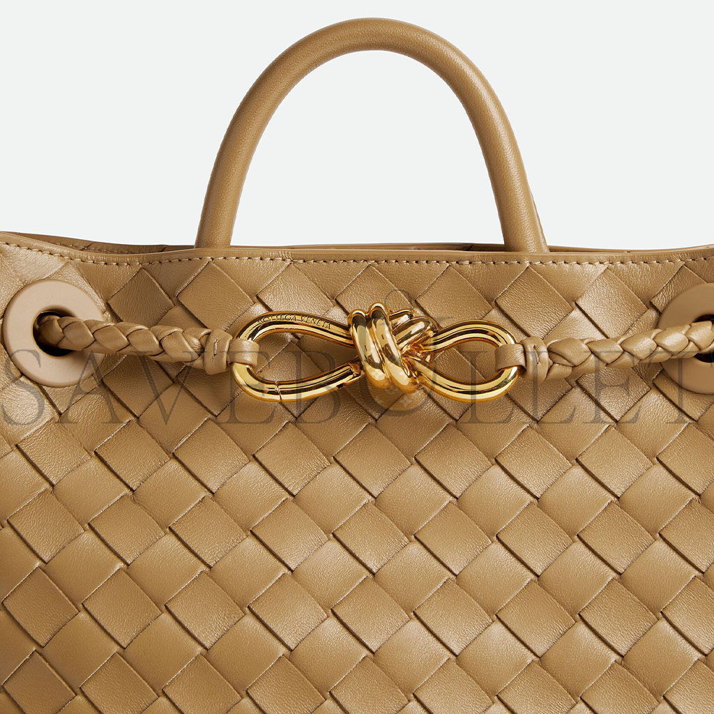 BOTTEGA VENETA SMALL ANDIAMO (25*20*10cm) 